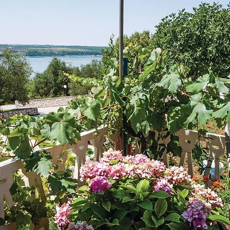 Three-bedroom In Apartment Posedarje